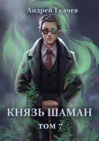 Обложка книги «Князь шаман. Том 7»