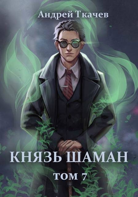 Обложка книги «Князь шаман. Том 7»