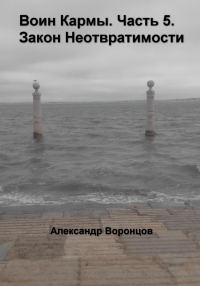 Обложка книги «Воин Кармы. Часть 5. Закон Неотвратимости»