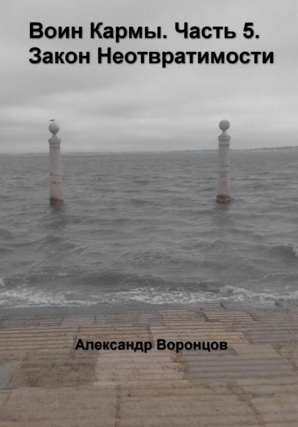 Обложка книги «Воин Кармы. Часть 5. Закон Неотвратимости»