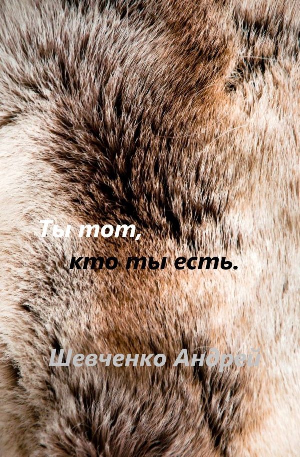 Обложка книги «Ты тот, кто ты есть»