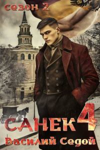 Обложка книги «Санек 4»