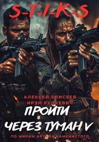 Обложка книги «Пройти через туман V»