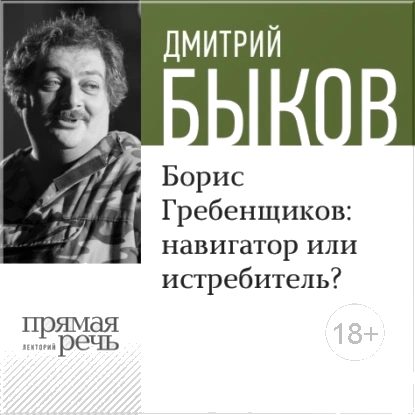 Обложка книги «Борис Гребенщиков: навигатор или истребитель?»