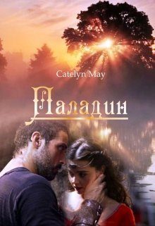 Обложка книги «Паладин»