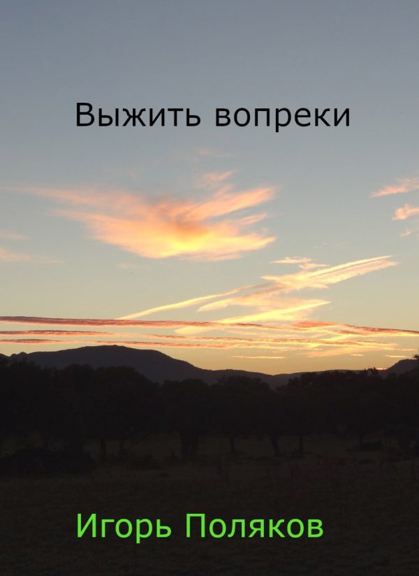 Обложка книги «Выжить вопреки»