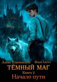Обложка книги «Начало пути»