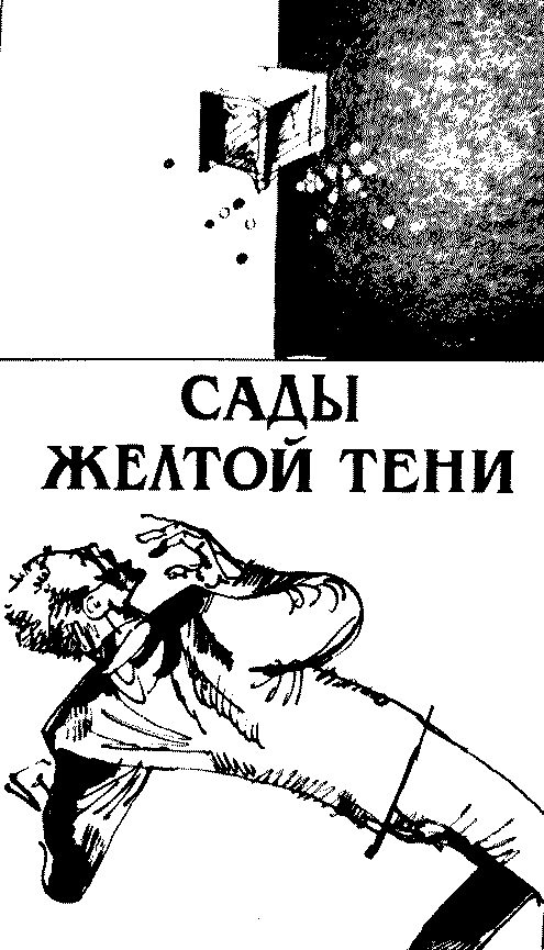 Обложка книги «Сады Жёлтой тени»