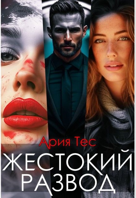 Обложка книги «Жестокий развод»