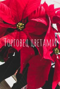 Обложка книги «Торговец цветами»