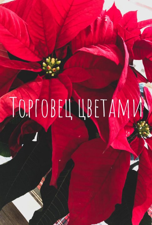 Обложка книги «Торговец цветами»