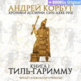 Обложка книги «Тиль Гаримму»