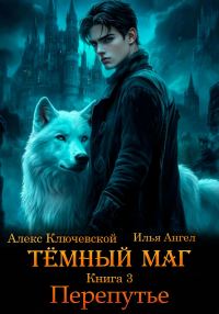 Обложка книги «Перепутье»
