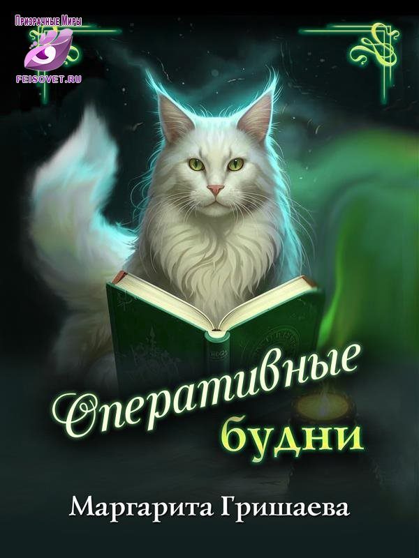 Обложка книги «Оперативные будни»