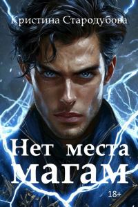 Обложка книги «Нет места магам»