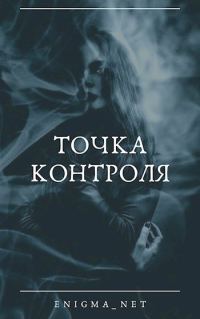 Обложка книги «Точка контроля»
