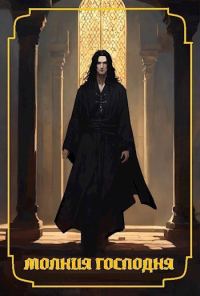 Обложка книги «Молния Господня»