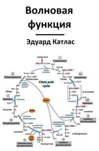 Обложка книги «Волновая функция»