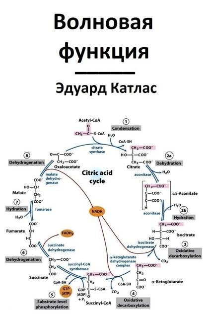 Обложка книги «Волновая функция»
