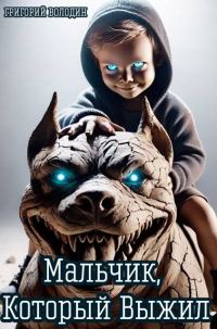 Обложка книги «Мальчик, Который Выжил»