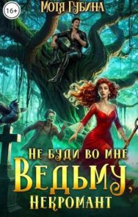 Обложка книги «Не буди во мне Ведьму, Некромант!»
