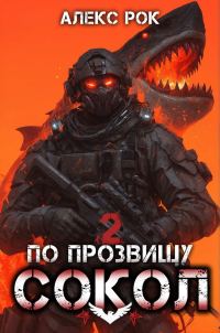 Обложка книги «По прозвищу «Сокол». Том 2»