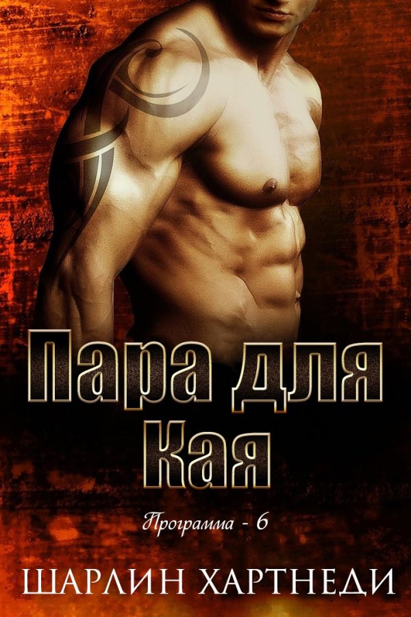 Обложка книги «Пара для Кая»