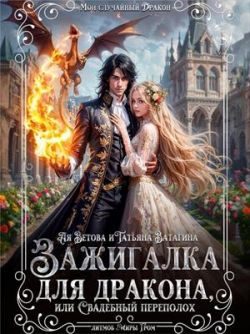 Обложка книги «Зажигалка для дракона, или Свадебный переполох»