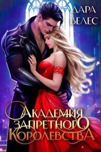 Обложка книги «Академия Запретного Королевства 2»