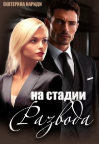 Обложка книги «На стадии развода»