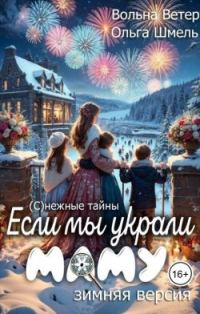 Обложка книги «Если мы украли маму»