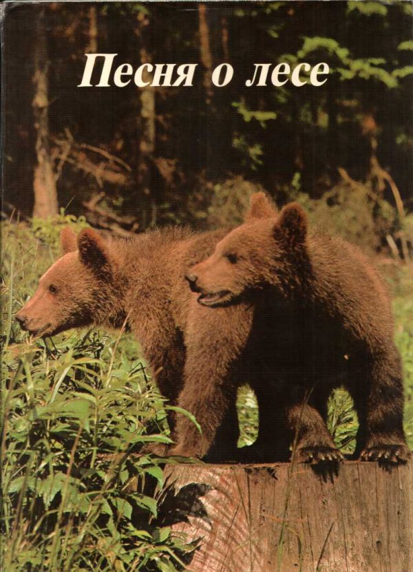 Обложка книги «Песня о лесе»
