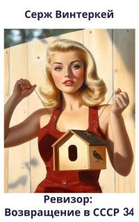 Обложка книги «Ревизор: возвращение в СССР #34»
