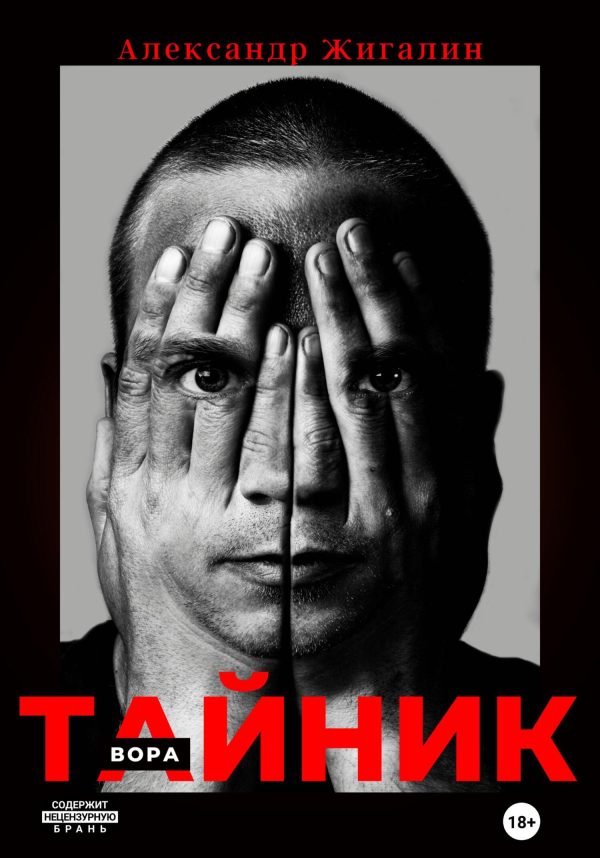 Обложка книги «Тайник вора»