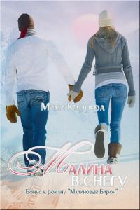 Обложка книги «Малина в снегу»