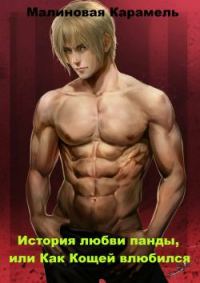 Обложка книги «История любви панды, или Как Кощей влюбился»
