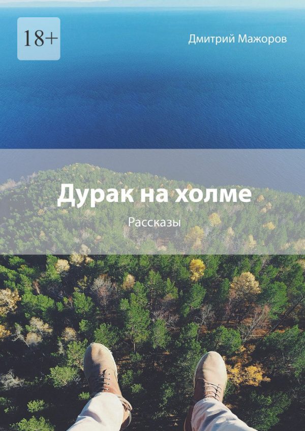 Обложка книги «Дурак на холме»
