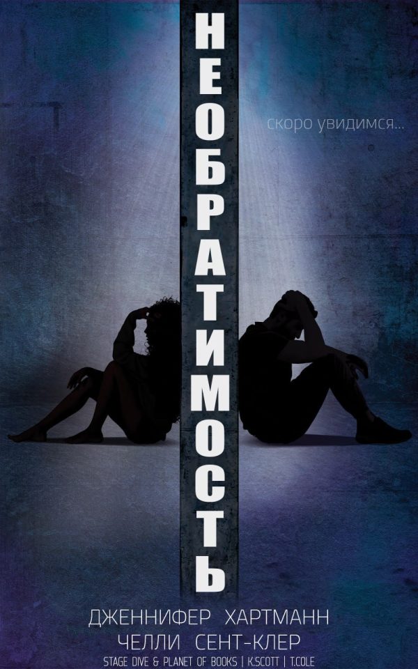Обложка книги «Необратимость»