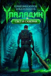 Обложка книги «Паладин. Свет и Скверна II»