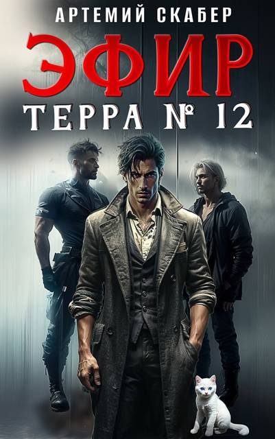 Обложка книги «Эфир Терра 12?»