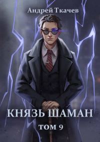 Обложка книги «Князь шаман. Том 9»