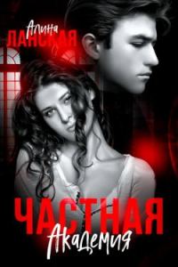 Обложка книги «Частная Академия. Осколки»
