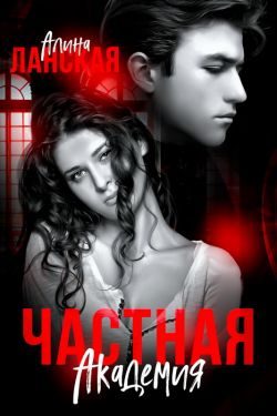 Обложка книги «Частная Академия. Осколки»