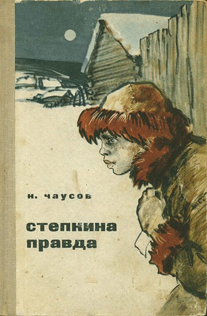 Обложка книги «Степкина правда»