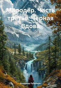 Обложка книги «Черная Вдова»