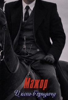 Обложка книги «Мажор. И конь в придачу (СИ)»