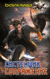 Обложка книги «Сопряжение»