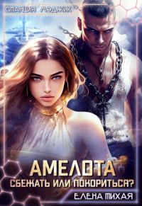 Обложка книги «Амелота. Сбежать или Покориться?»