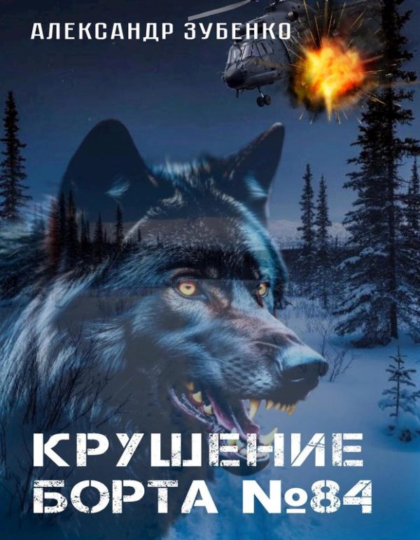 Обложка книги «Крушение "Борта № 84"»
