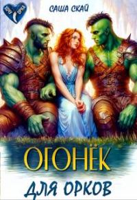 Обложка книги «Огонек для орков»